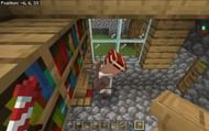 The villager with a book on its head (Image via Minecraft Wiki)